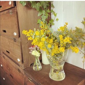 Meet your Posher, Lynn